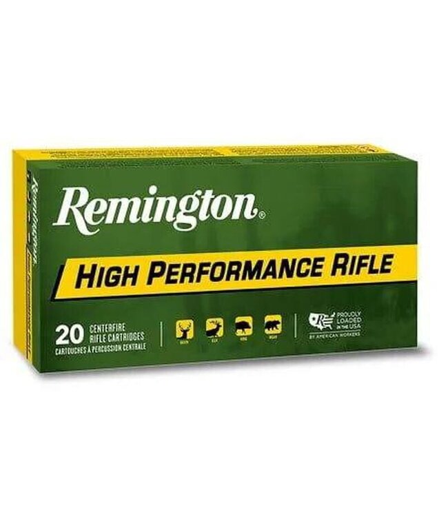 Remington .45-70 Gov't 300Gr SJHP