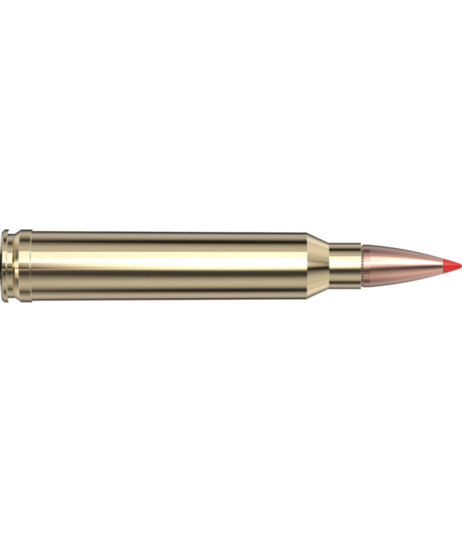 Hornady 82193 Superformance Rifle 300 WIN MAG 180gr. SST, 20rds