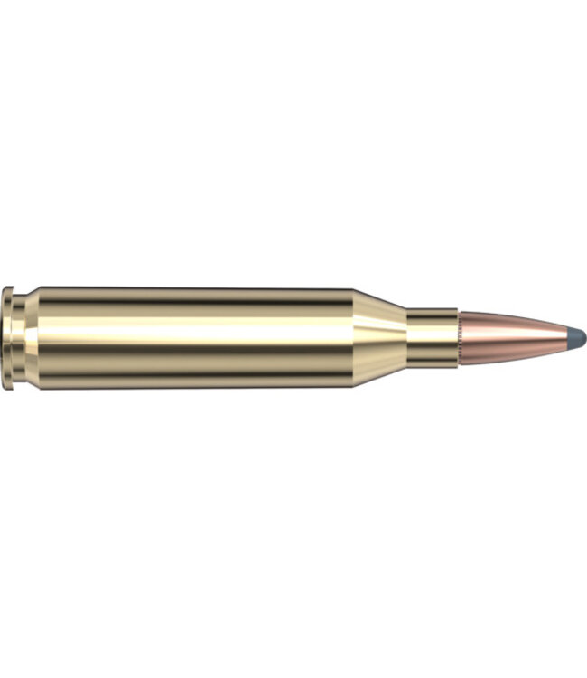 Hornady 8047 American Whitetail .243 WIN, 100gr InterLock, 20rds