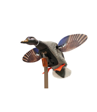 MOJO MOJO - Mini Mallard Drake w Remote
