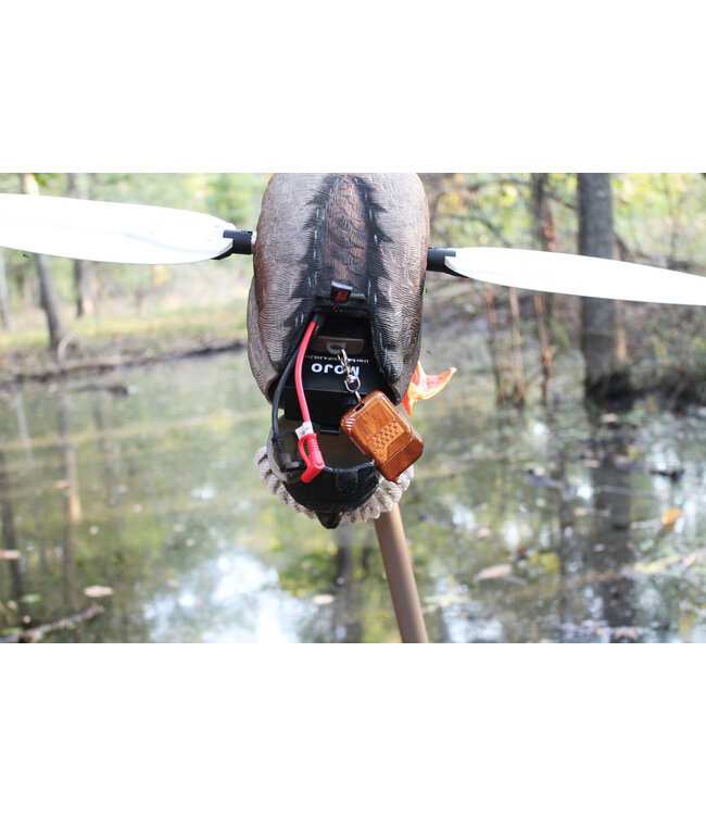 MOJO - Mallard Drake