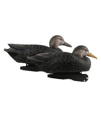 GHG GHG - Oversized Black Ducks - 6pk