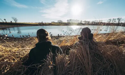 WATERFOWL & DOVE