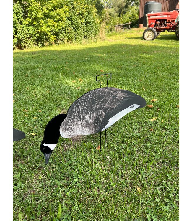 Decoy Daddy - Dirty Dozen Goose V2 - Flocked Head