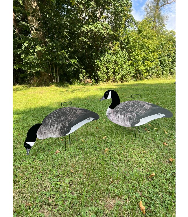 Decoy Daddy - Dirty Dozen Goose V2 - Flocked Head