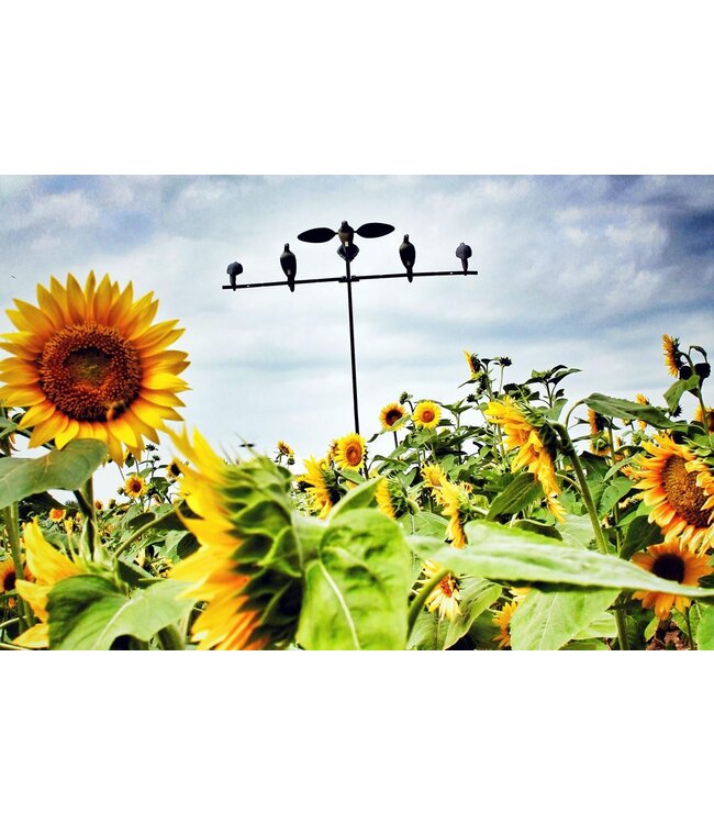MOJO - Dove Tree with Bag