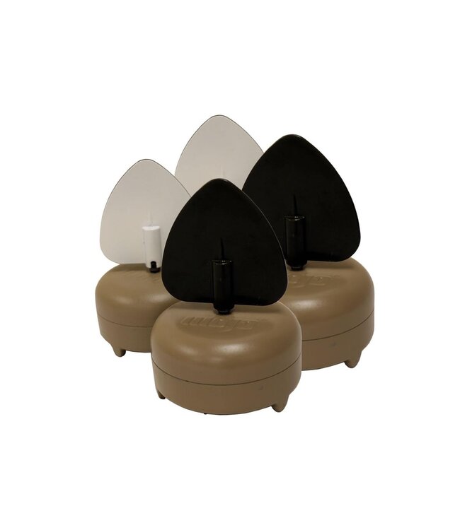 MOJO - Dove A Flicker