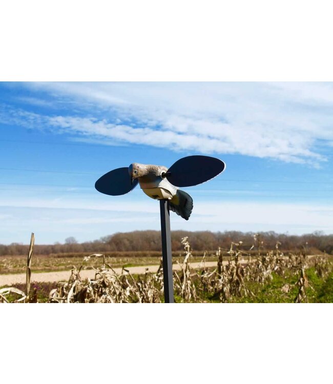 MOJO MOJO - Elite Series - Dove