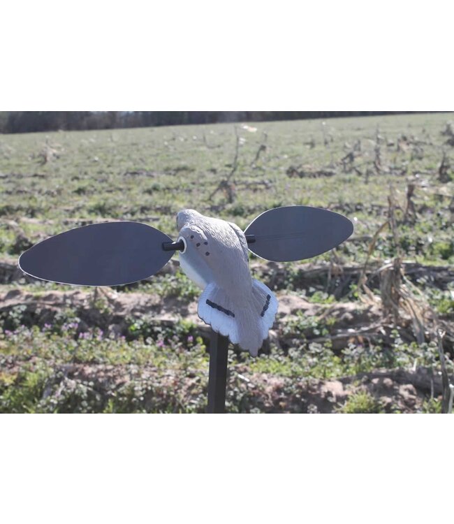 MOJO - Elite Series - Dove