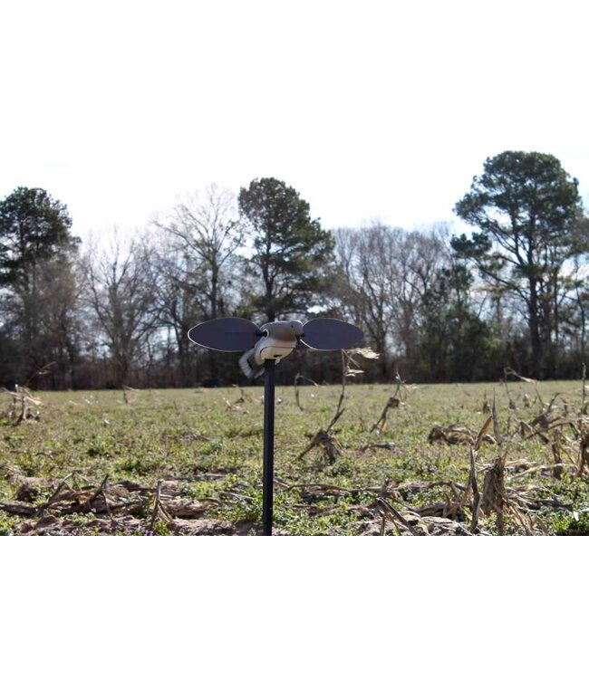 MOJO - Elite Series - Dove