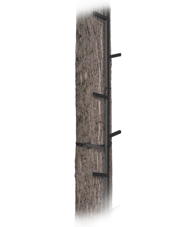 Big Game - Quick - Stick