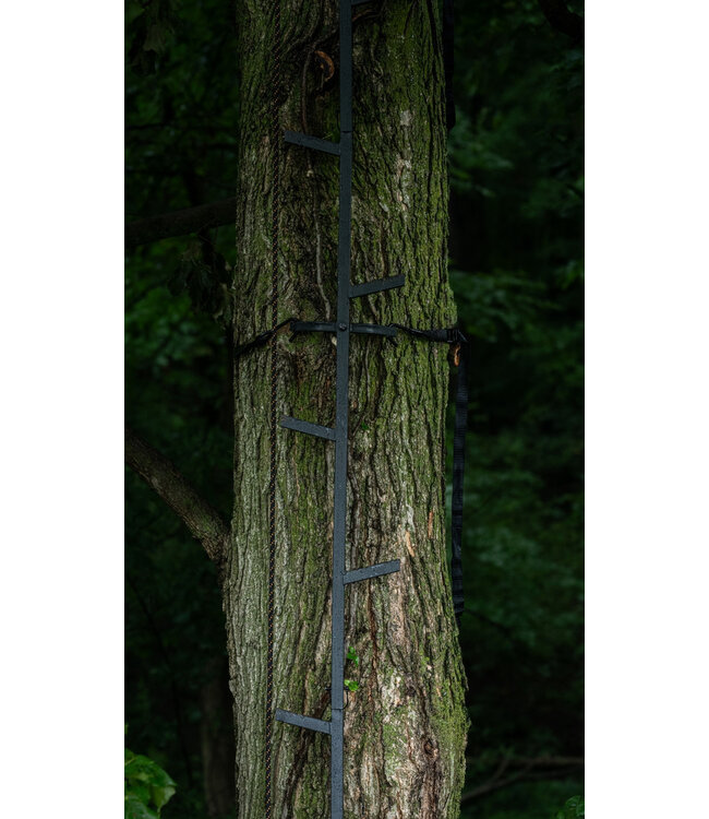 Big Game - Quick - Stick