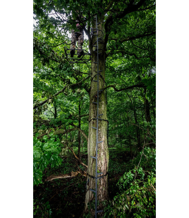 Big Game - Quick - Stick