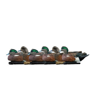 Avian X AVIAN X - TOP FLIGHT WIGEON