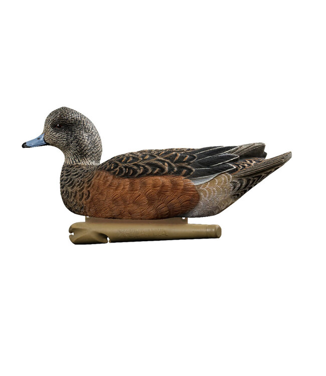 AVIAN X - TOP FLIGHT WIGEON