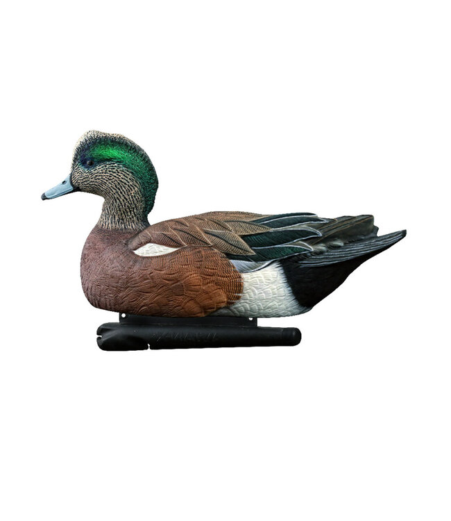 AVIAN X - TOP FLIGHT WIGEON