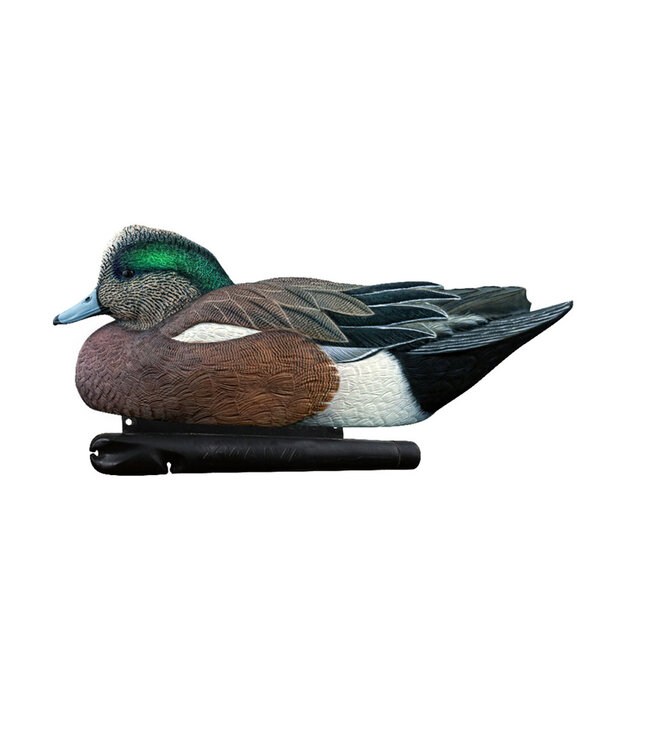AVIAN X - TOP FLIGHT WIGEON