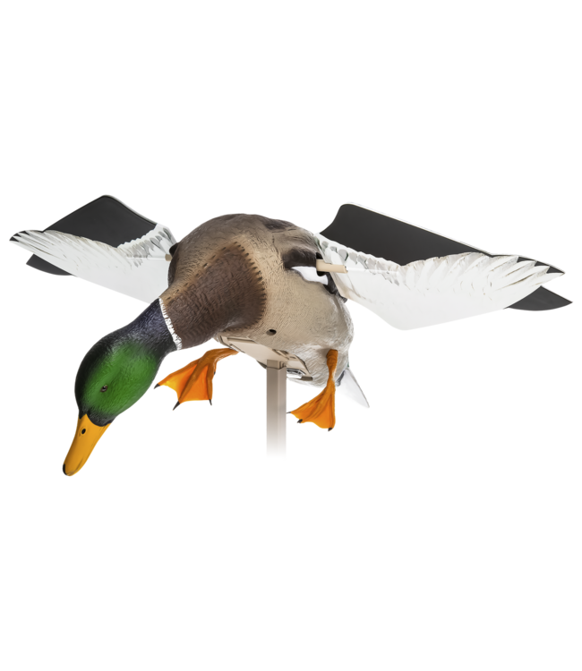 AVIAN-X - SPINNING WING MALLARD
