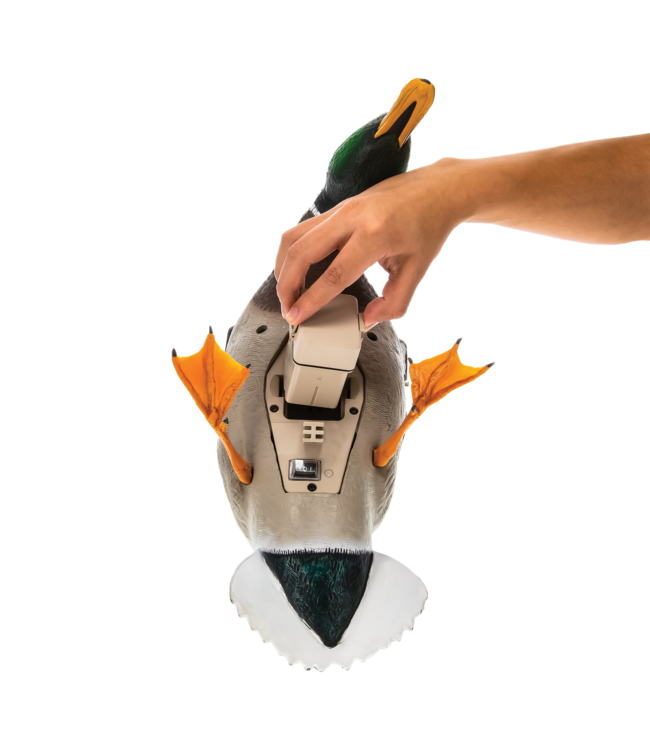 AVIAN-X - SPINNING WING MALLARD