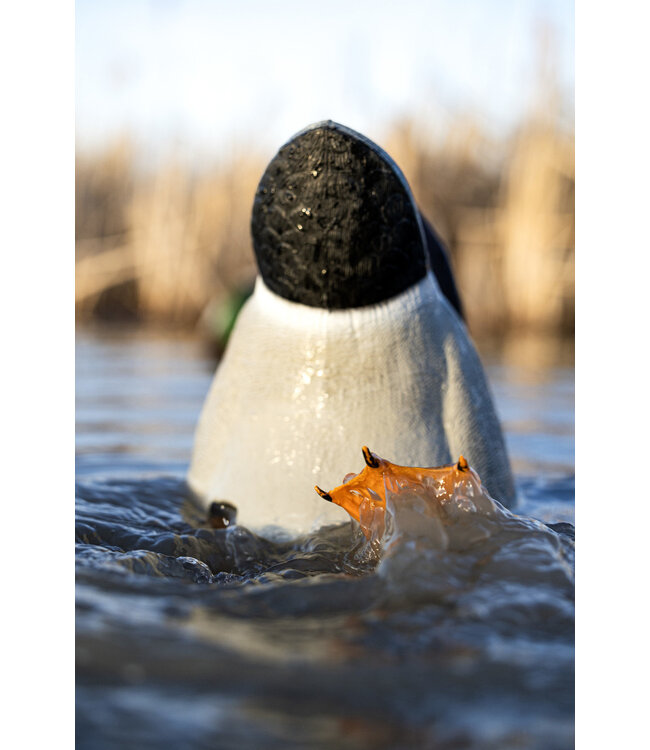 AVIAN X - POWER BUTT KICKER DECOY