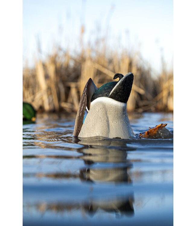 AVIAN X - POWER BUTT KICKER DECOY