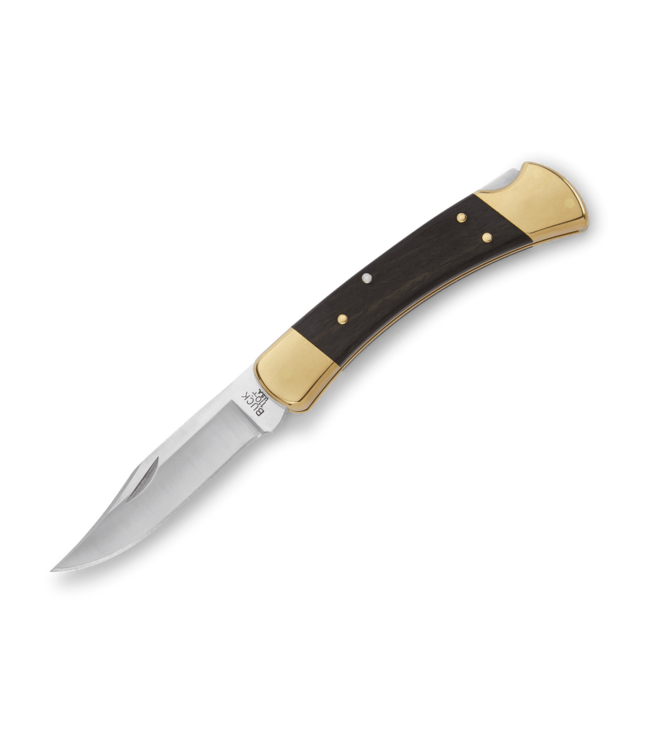 Buck Knives - 110 Folding Hunter