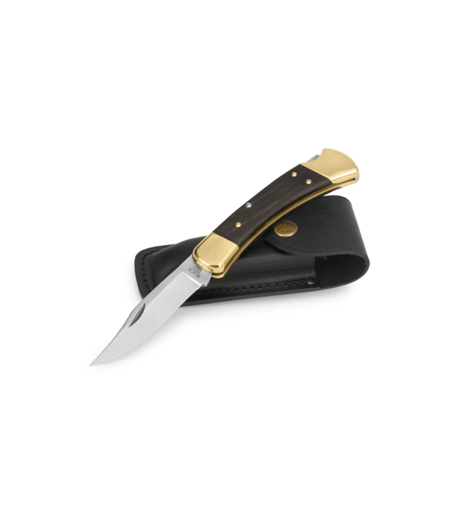 Buck Knives - 110 Folding Hunter