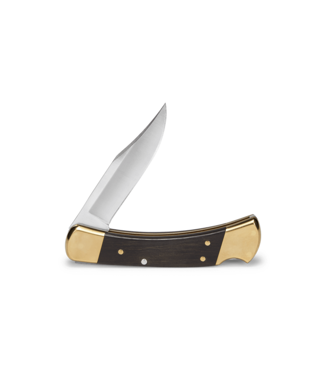 Buck Knives - 110 Folding Hunter