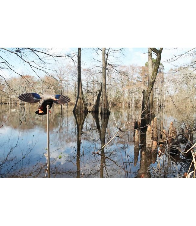 MOJO - Mini Mallard Hen - NO REMOTE