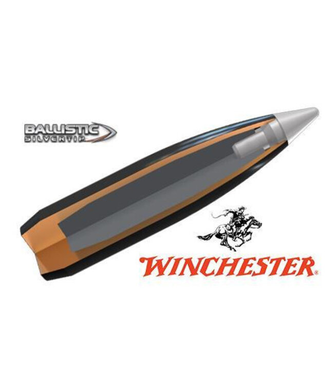 Winchester Ballistic Silvertip - .243WIN 55Gr. - 20rds