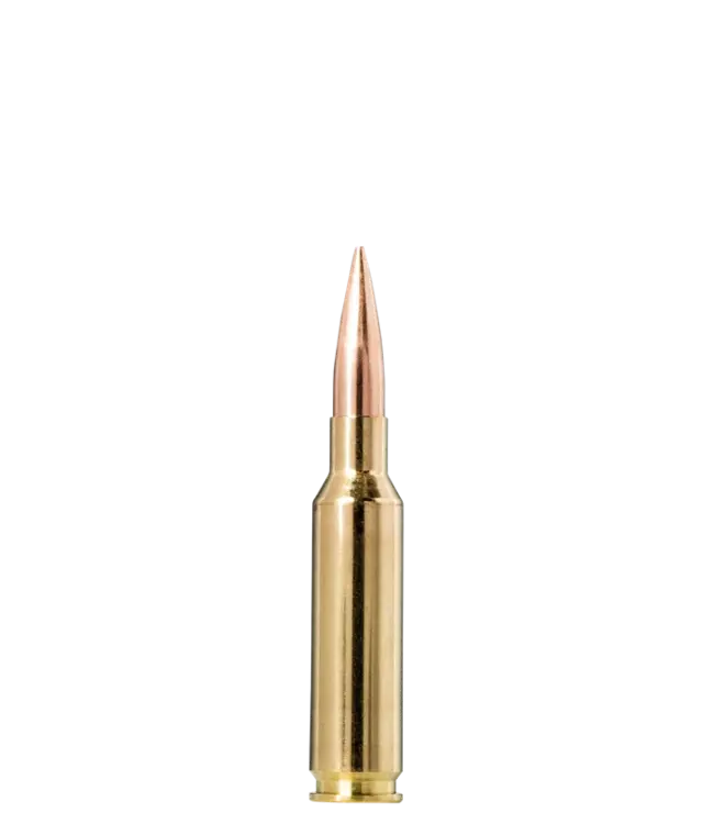 Norma Range and Training - 6.5 CRMR - 124gr. - 50rds