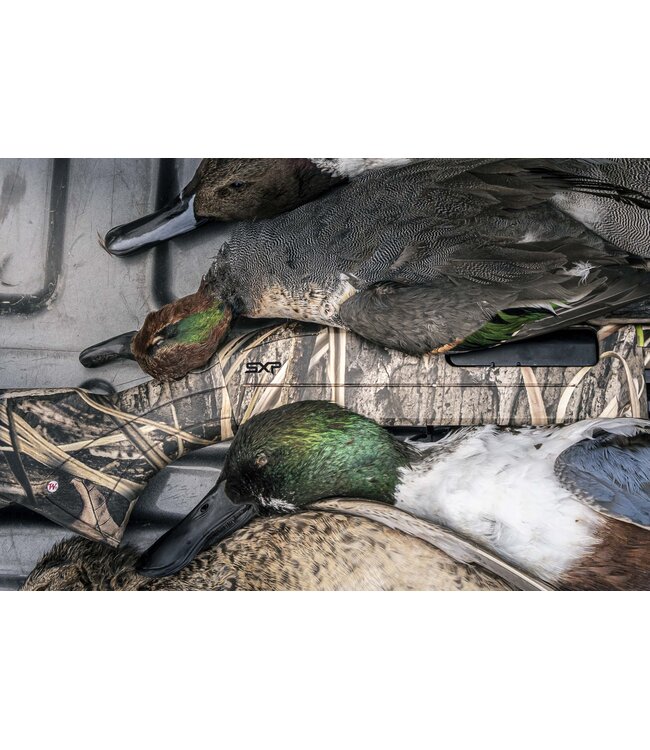 Winchester SXP Waterfowl MOSGH 12ga. 3.5" 28"brl