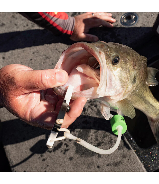 TackleWorkz Clip n Cull 2.0 Multi-color Culling System