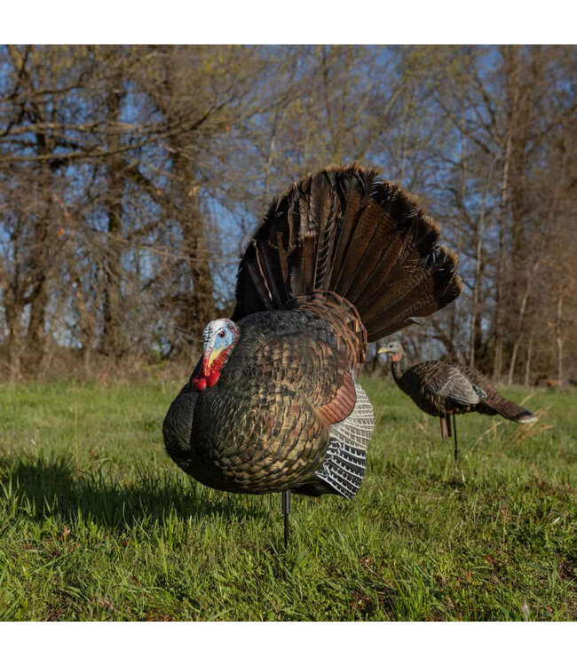 Avian X - LCD Strutter Decoy