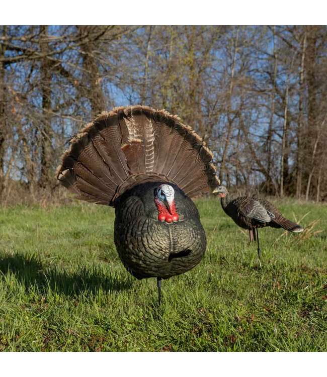 Avian X - LCD Strutter Decoy