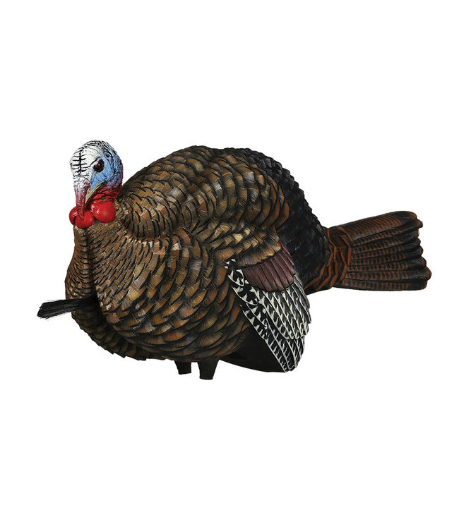 Avian X Avian X - LCD Half Strut Jake Decoy
