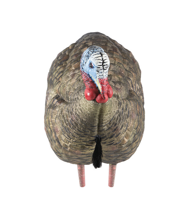 Avian X - LCD Half Strut Jake Decoy