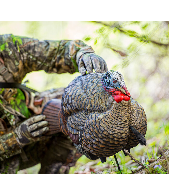 Avian X - LCD Half Strut Jake Decoy
