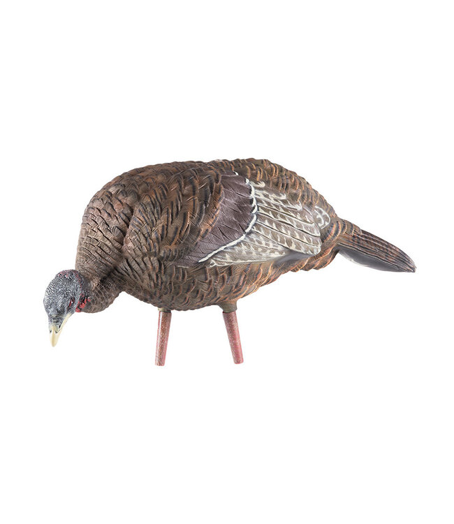 Avian X - LCD Feeder Turkey Decoy