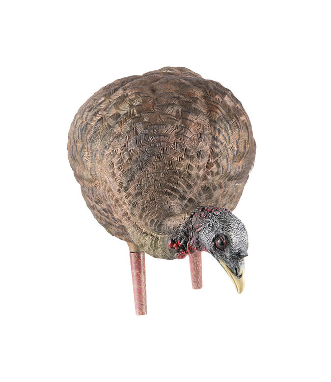 Avian X - LCD Feeder Turkey Decoy