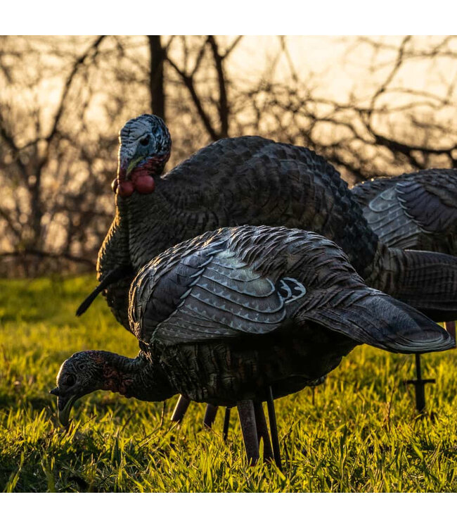 Avian X - LCD Feeder Turkey Decoy