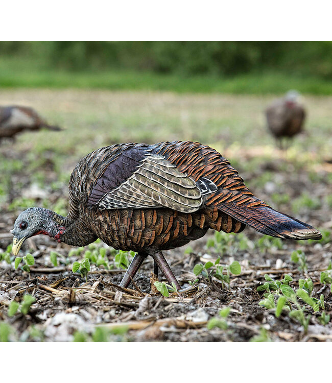 Avian X - LCD Feeder Turkey Decoy