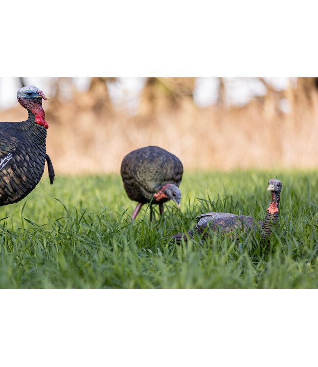 Avian X - LCD Laydown Hen Turkey Decoy