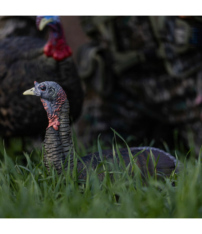 Avian X - LCD Laydown Hen Turkey Decoy