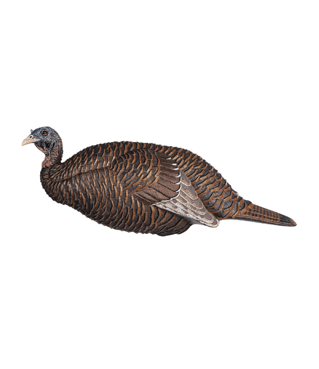 Flextone - Turkey Decoy - Thunder Chicken Breeder