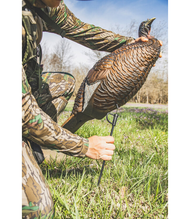 Flextone - Turkey Decoy - Thunder Chicken Breeder
