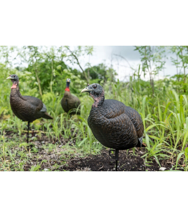 Flextone - Turkey Decoy - Thunder Chicken Breeder