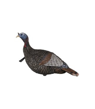 Flextone Flextone - Turkey Decoy - Thunder Jake (1/4 Strut)