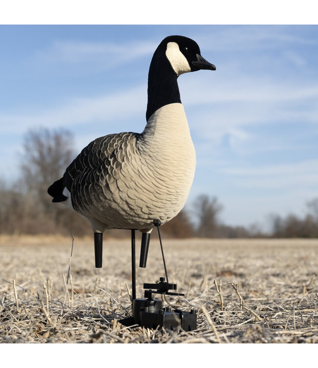 Avian X - X-Factor Decoy Motion System