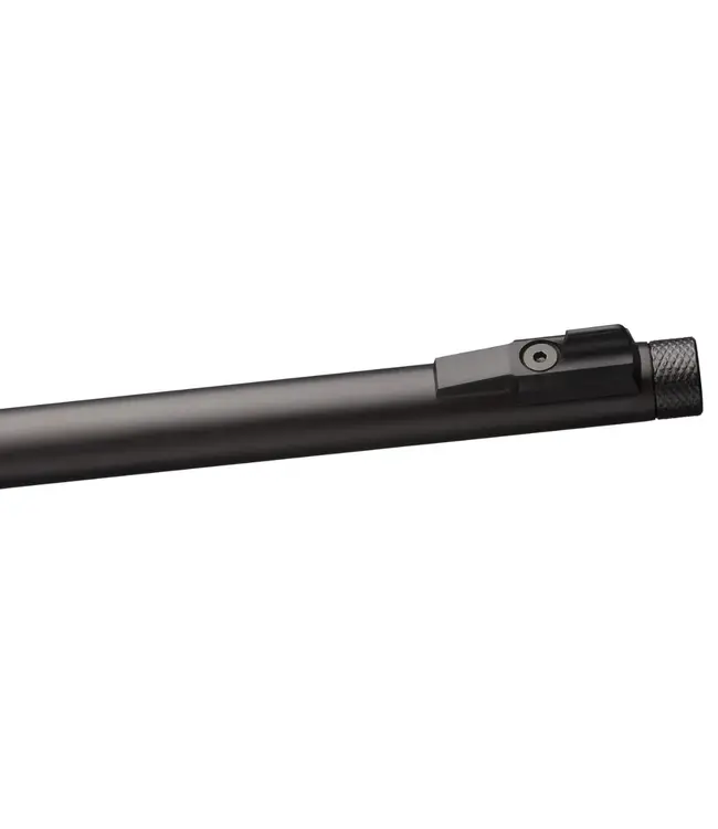 Winchester Wildcat Sporter, S, 22LR
